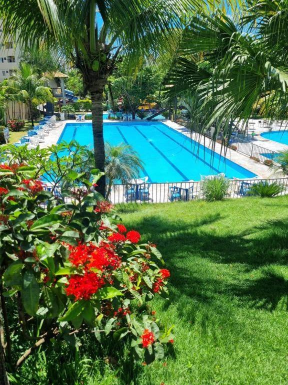 Hotel Golden Dolphin Express